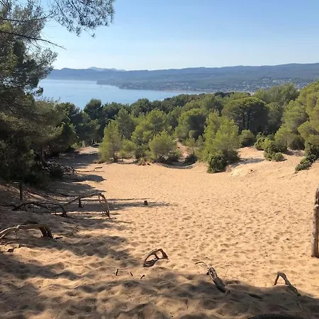 Rez De Jardin-50m Mer-piscine Privee-parking