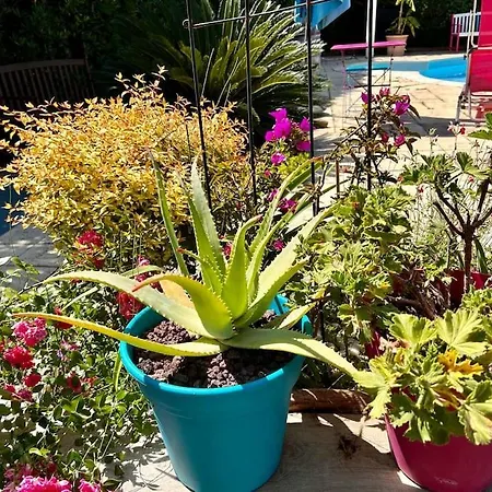 Rez De Jardin-50m Mer-piscine Privee-parking Saint-Cyr-sur-Mer
